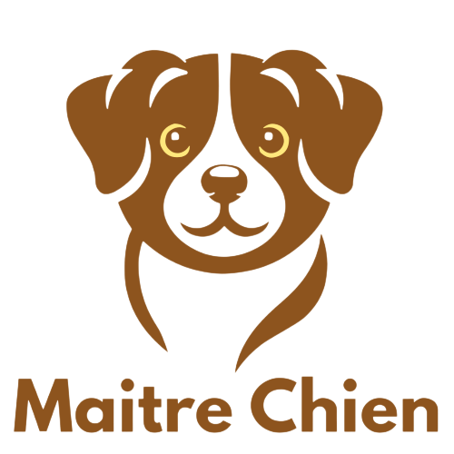 Maitre Chien