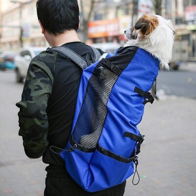 Sac Ă  Dos pour Chien - PetBackpackâą - Bleu