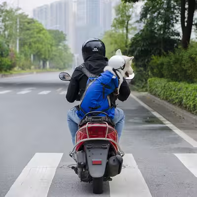 Sac à Dos pour Chien - PetBackpack™ - Bleu