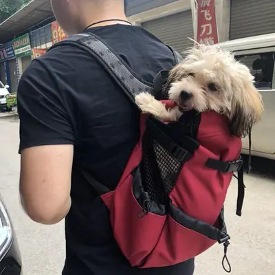 Sac à Dos pour Chien - PetBackpack™ - Rouge