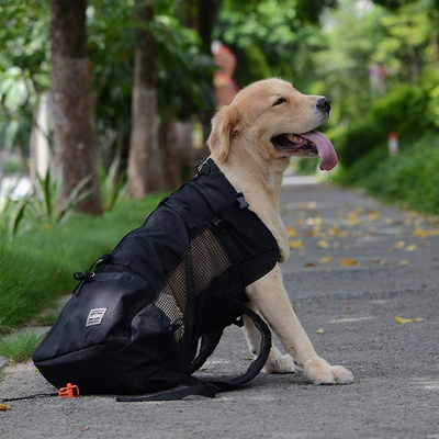 Sac à Dos pour Chien - PetBackpack™ - Noir