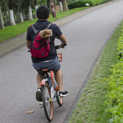 Sac à Dos pour Chien - PetBackpack™ - Rouge