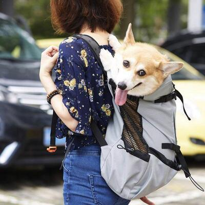 Sac à Dos pour Chien - PetBackpack™ - Gris