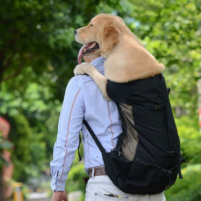 Sac à Dos pour Chien - PetBackpack™ - Noir