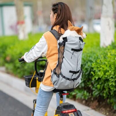 Sac à Dos pour Chien - PetBackpack™ - Gris