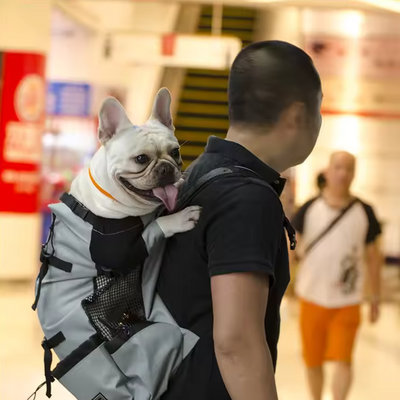 Sac à Dos pour Chien - PetBackpack™ - Gris